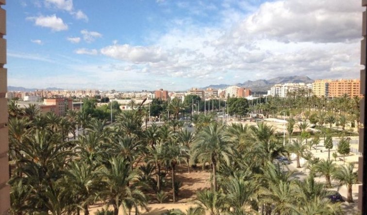 Apartamento / piso - Reventa - Elche - Elche