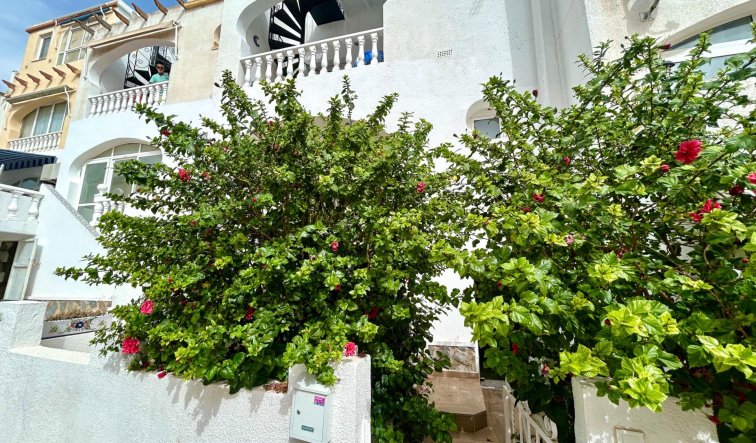 Apartment / flat - Resale - San Miguel de Salinas - Las filipinas
