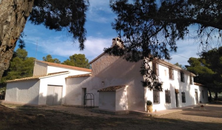 Country house - Reventa - Aspe - Aspe