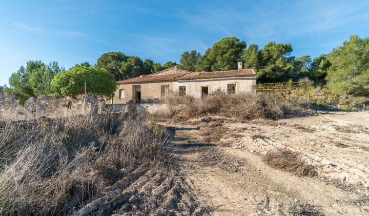 Country house - Reventa - Pilar de la Horadada - Pinar de la Perdiz