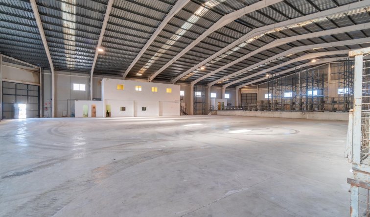 Industrial unit -  - Pilar de la Horadada - Polígono industrial Cañada de Práez