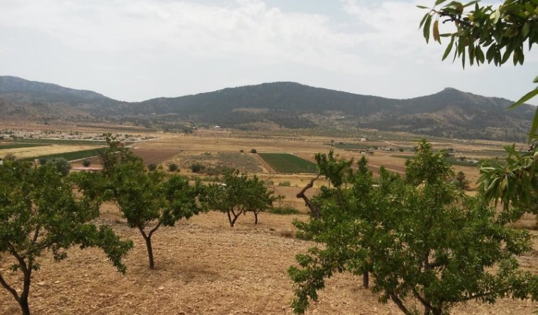 land - Resale - Hondón de las Nieves - Hondón de las Nieves