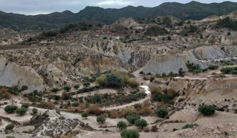 land - Reventa - Abanilla - Abanilla