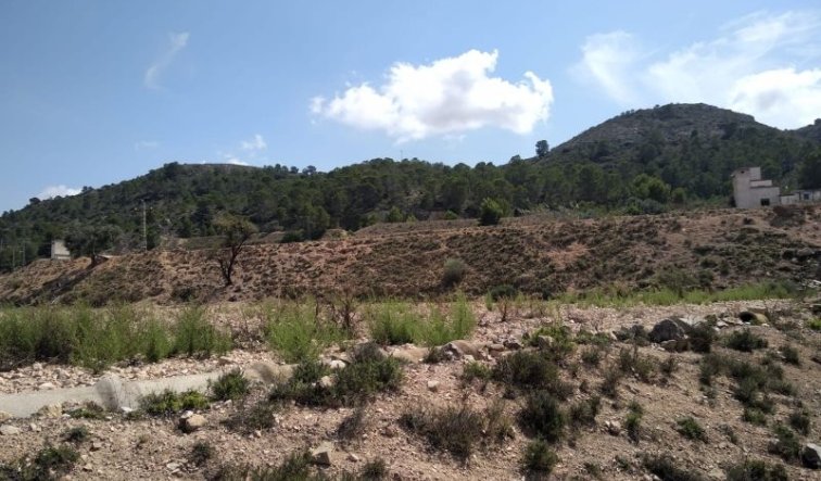 land - Reventa - Hondón de las Nieves - Hondón de las Nieves