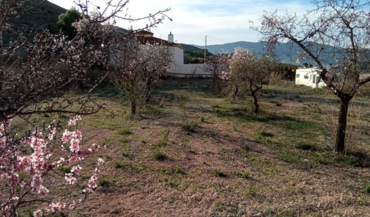 land - Reventa - Hondón de las Nieves - Hondón de las Nieves