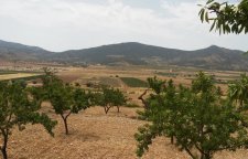 land - Reventa - Hondón de las Nieves - poc-55129