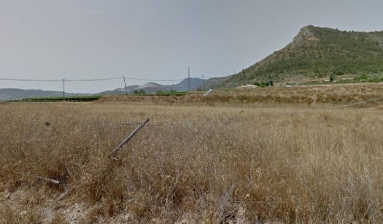 land - Revente - Aspe - Aspe