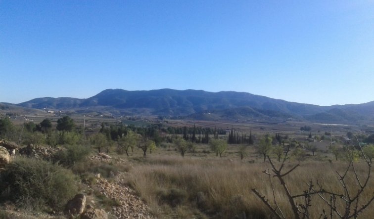land - Revente - Hondón de las Nieves - Hondón de las Nieves