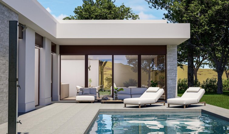 Villa - Nouvelle construction - Pinoso - Lel