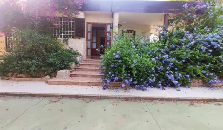 Villa - Resale - Elche - Elche