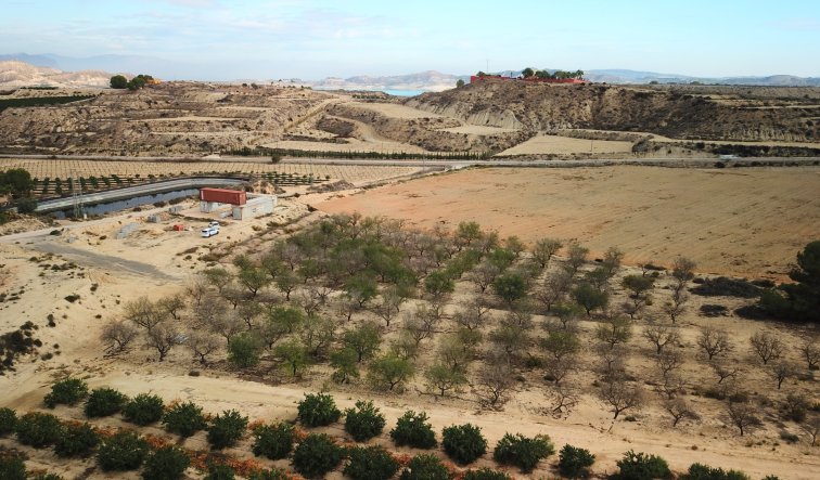 Reventa - Plot of Land - Torremendo - Torremendo - Country