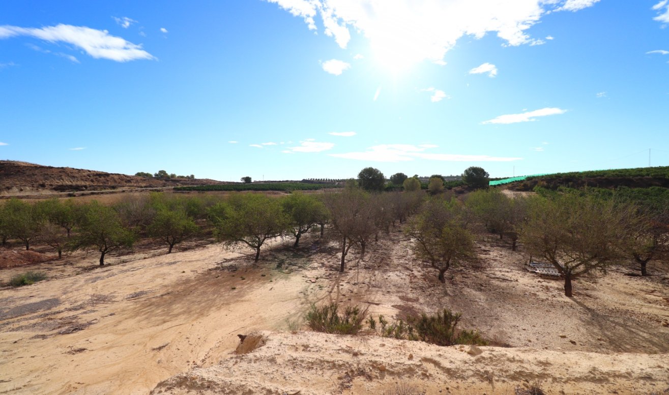 Reventa - Plot of Land - Torremendo - Torremendo - Country