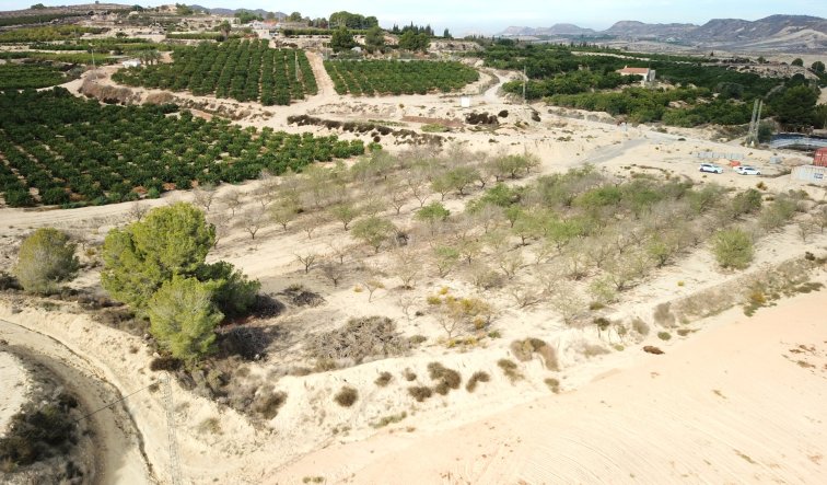 Reventa - Plot of Land - Torremendo - Torremendo - Country