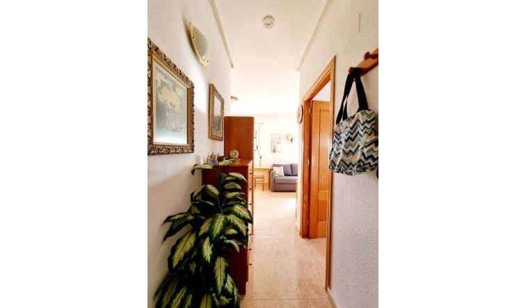 Reventa - Villa - Torrevieja - San luis