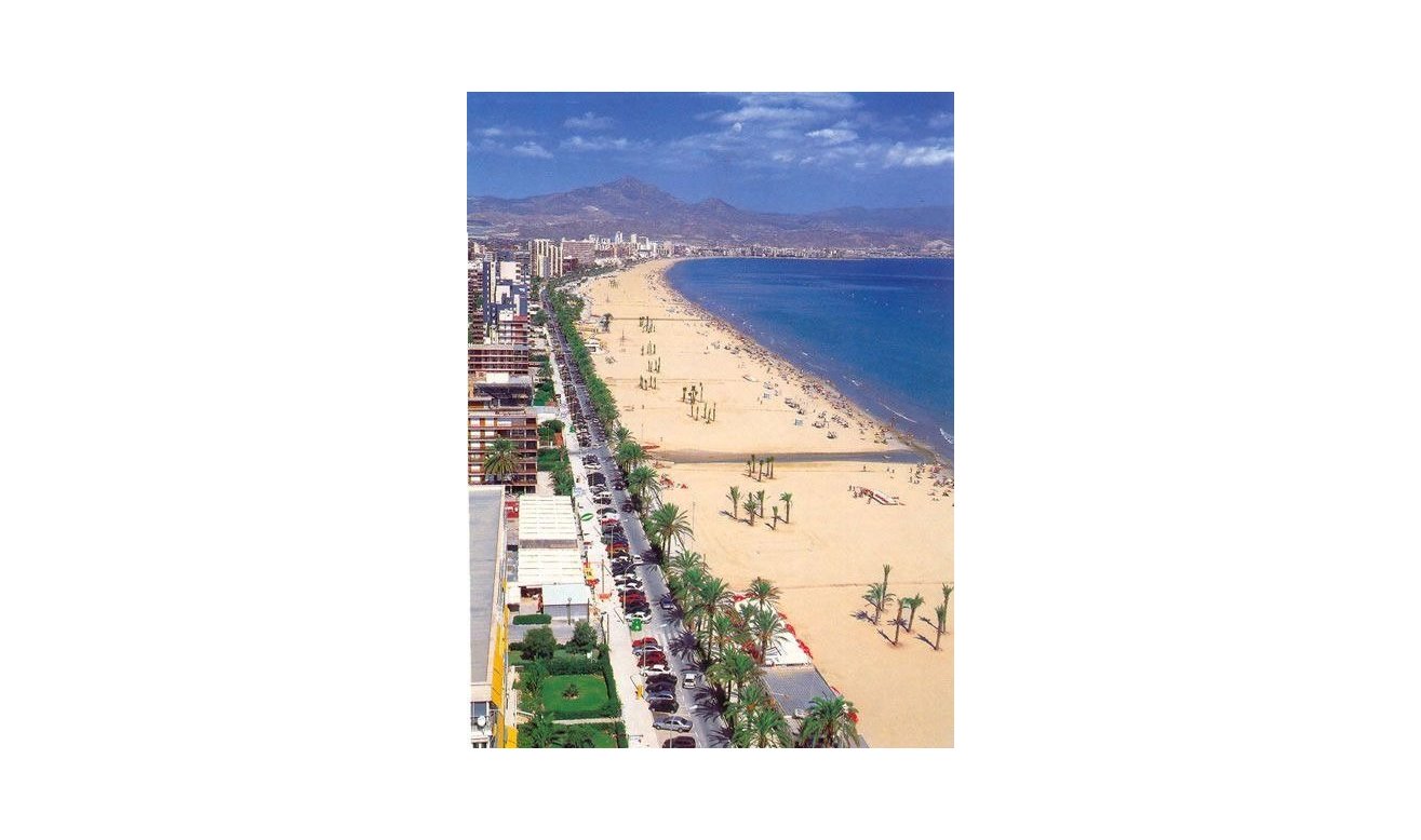 Obra nueva - Apartamento / piso - San Juan Alicante - Franc Espinós