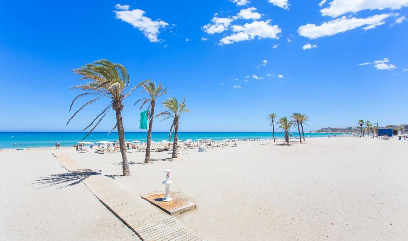 Obra nueva - Apartamento / piso - San Juan Alicante - Franc Espinós