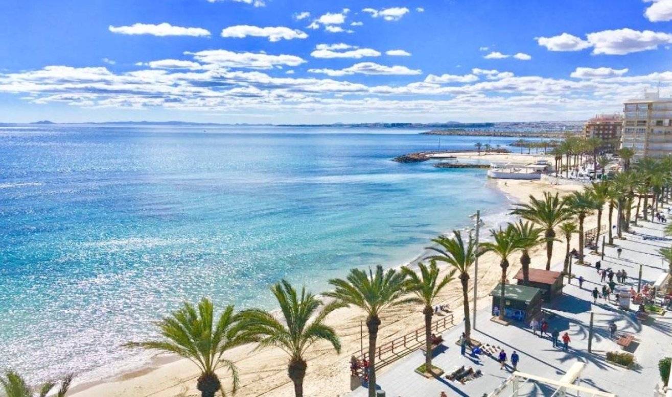 Obra nueva - Bungalow - Torrevieja - Lago Jardín II