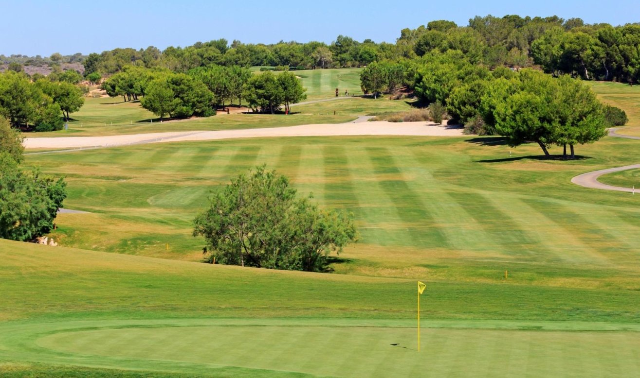 Obra nueva - Villa - Pilar de la Horadada - Lo Romero Golf