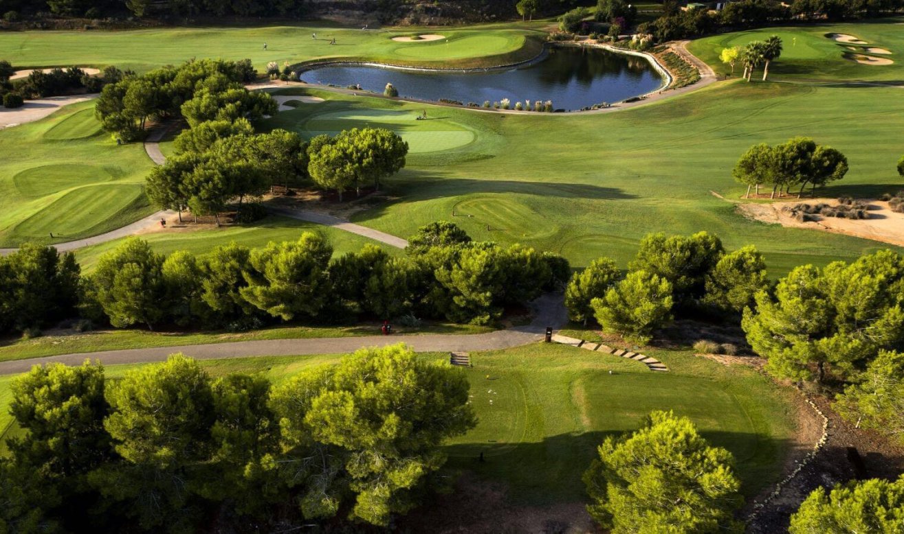 Obra nueva - Villa - Pilar de la Horadada - Lo Romero Golf