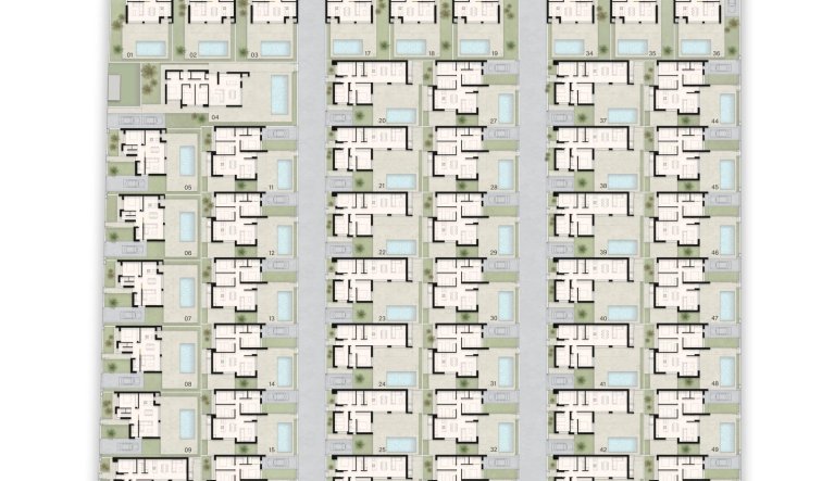 Obra nueva - Villa - Ciudad Quesada - Lo marabú