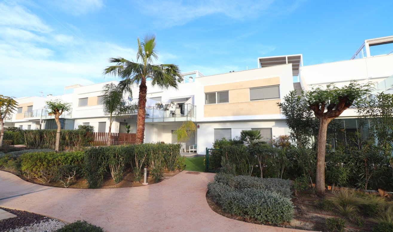 Reventa - Apartamento / piso - Los Montesinos - Entre Naranjos / Vistabella Golf