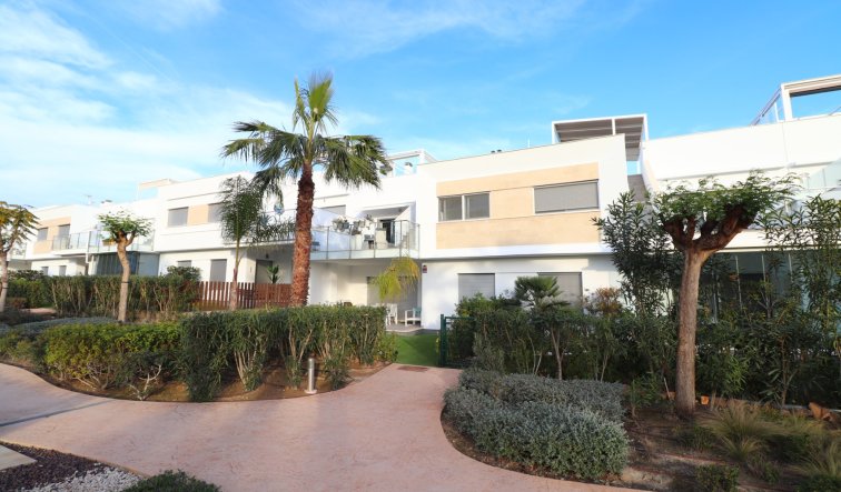 Reventa - Apartamento / piso - Los Montesinos - Entre Naranjos / Vistabella Golf