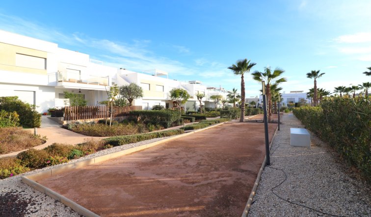 Reventa - Apartamento / piso - Los Montesinos - Entre Naranjos / Vistabella Golf
