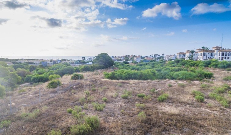 Obra nueva - Apartamento / piso - Orihuela Costa - Playa Flamenca