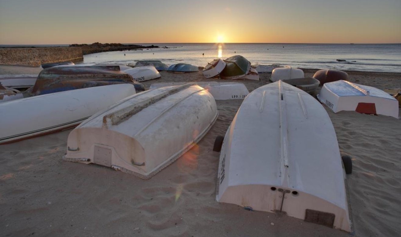Obra nueva - Villa - Torrevieja - Sector 25