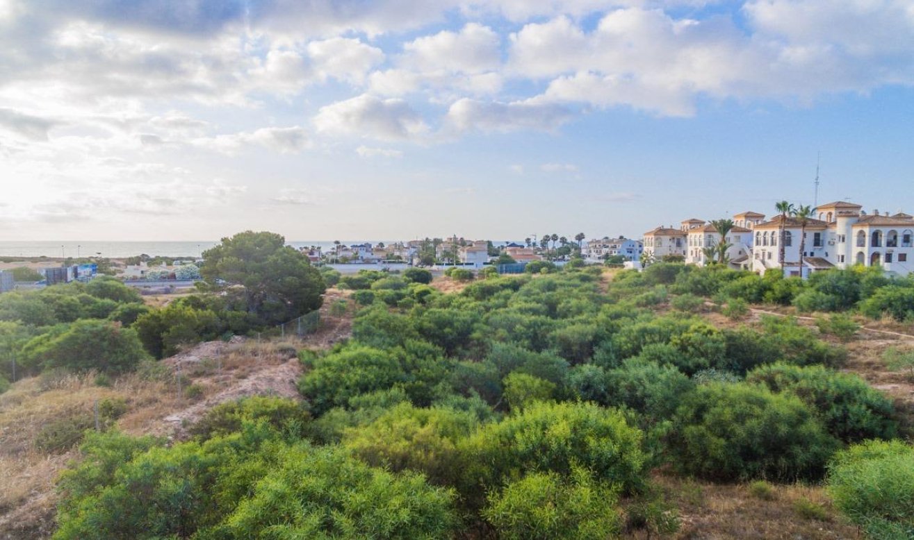 Obra nueva - Apartamento / piso - Orihuela Costa - Playa Flamenca