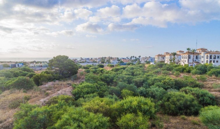 Obra nueva - Apartamento / piso - Orihuela Costa - Playa Flamenca