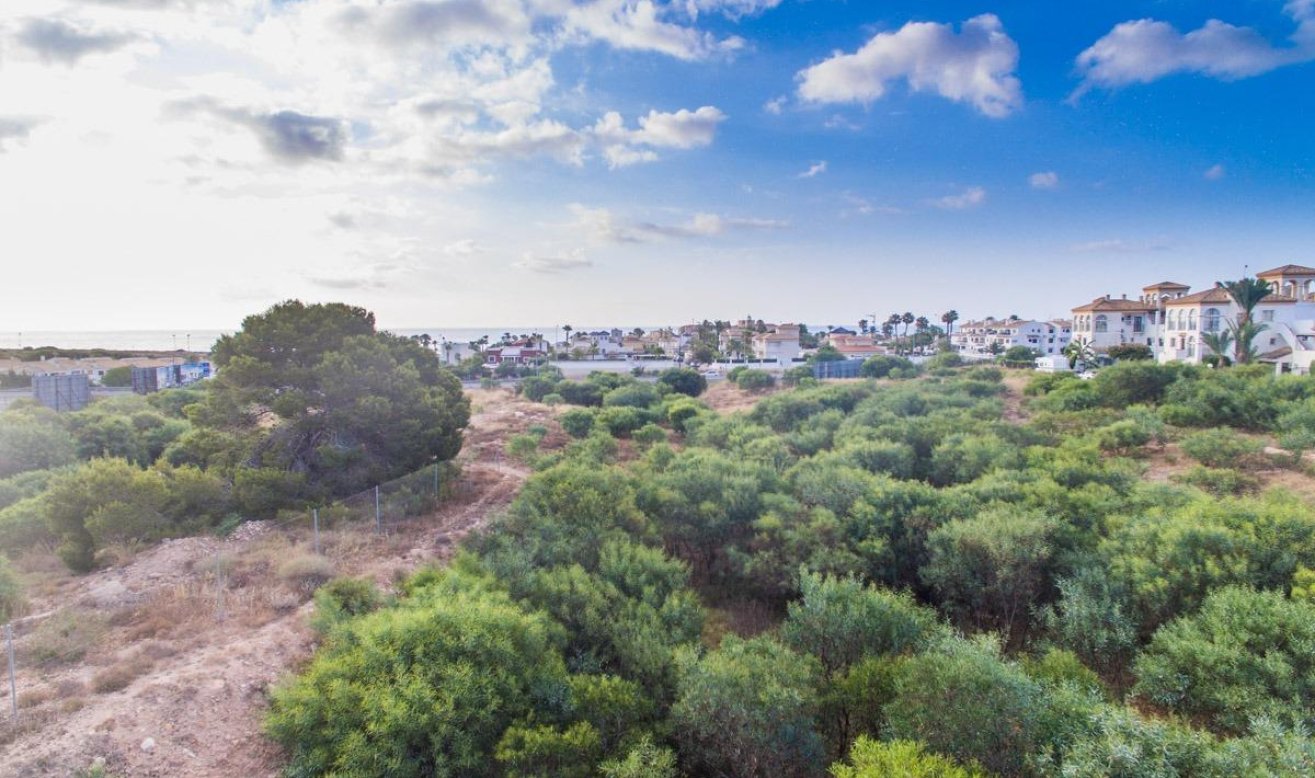 Obra nueva - Apartamento / piso - Orihuela Costa - Playa Flamenca