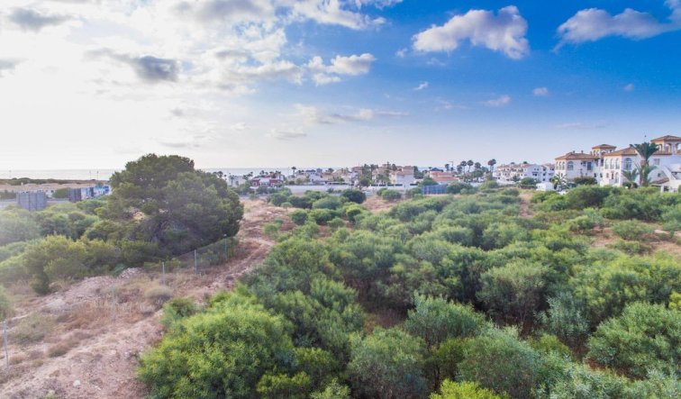 Obra nueva - Apartamento / piso - Orihuela Costa - Playa Flamenca