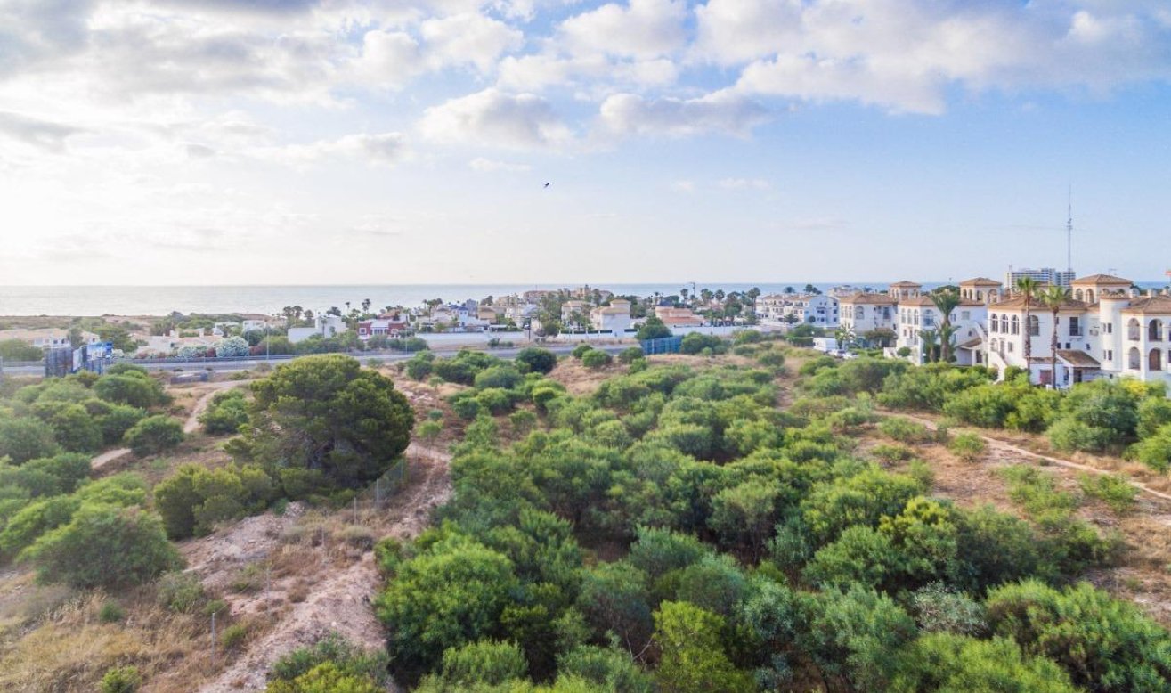 Obra nueva - Apartamento / piso - Orihuela Costa - Playa Flamenca