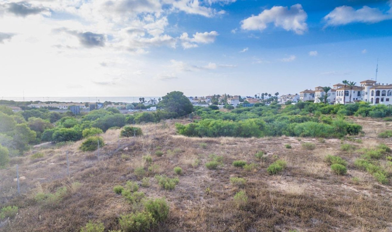 Obra nueva - Apartamento / piso - Orihuela Costa - Playa Flamenca