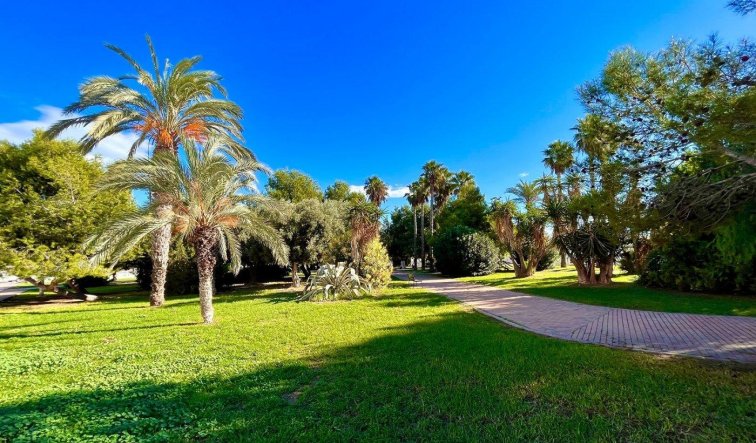 Reventa - Terraced house - Torrevieja - Calas blanca
