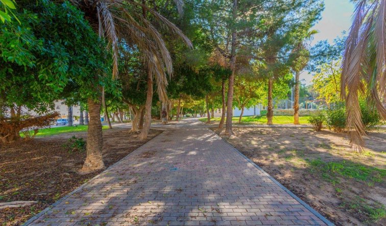 Reventa - Terraced house - Torrevieja - Calas blanca