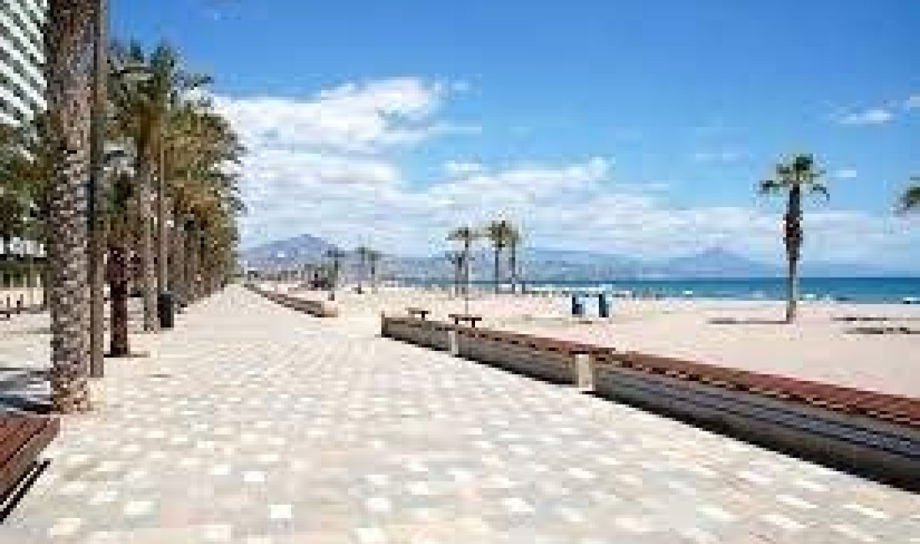 Obra nueva - Apartamento / piso - San Juan Alicante - Franc Espinós