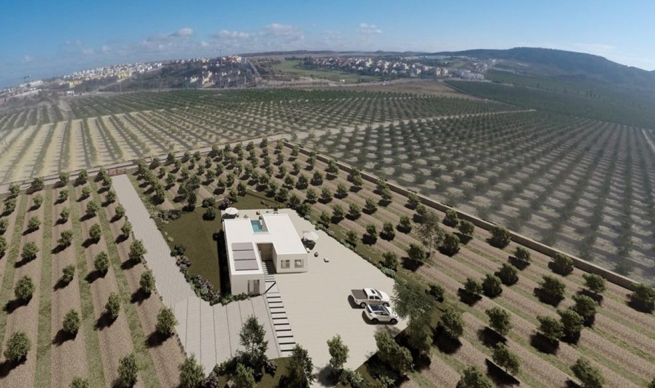 Obra nueva - Villa - Algorfa - Lomas De La Juliana