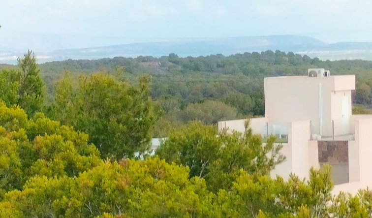Obra nueva - Adosado - Orihuela Costa - PAU 26