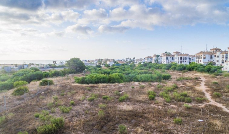 Obra nueva - Apartamento / piso - Orihuela Costa - Playa Flamenca