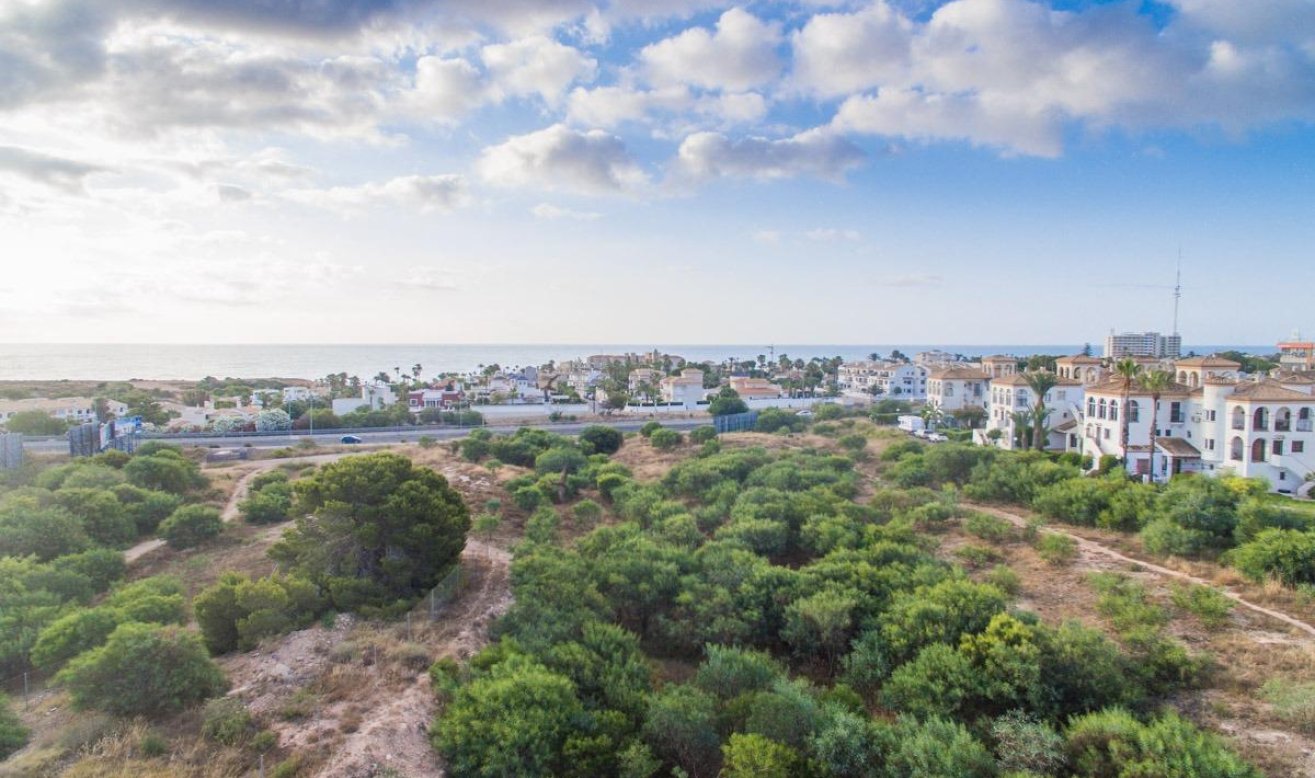 Obra nueva - Apartamento / piso - Orihuela Costa - Playa Flamenca