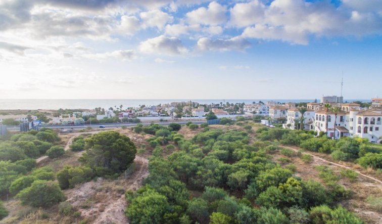Obra nueva - Apartamento / piso - Orihuela Costa - Playa Flamenca