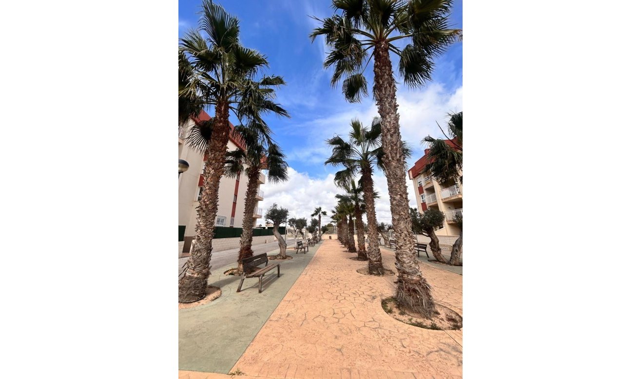 Obra nueva - Apartamento / piso - Orihuela Costa - Lomas de Cabo Roig