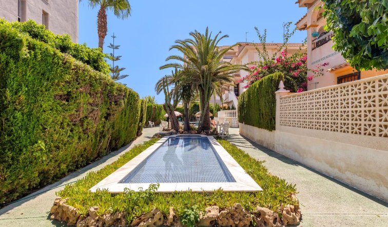 Reventa - Apartamento / piso - Torrevieja - Torreblanca