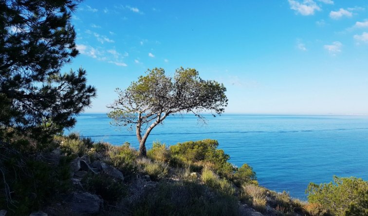 Obra nueva - Apartamento / piso - Villajoyosa - Playa Les Torres