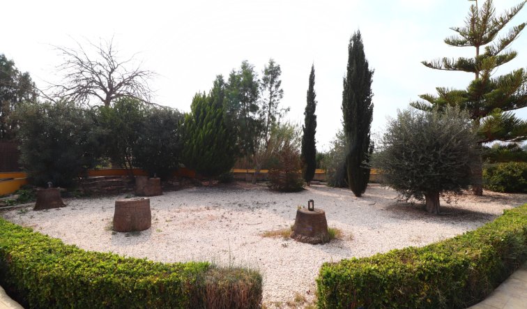 Reventa - Country Property - Daya Vieja - Daya Vieja - Country