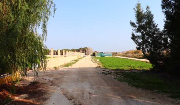 Reventa - Country Property - Daya Vieja - Daya Vieja - Country