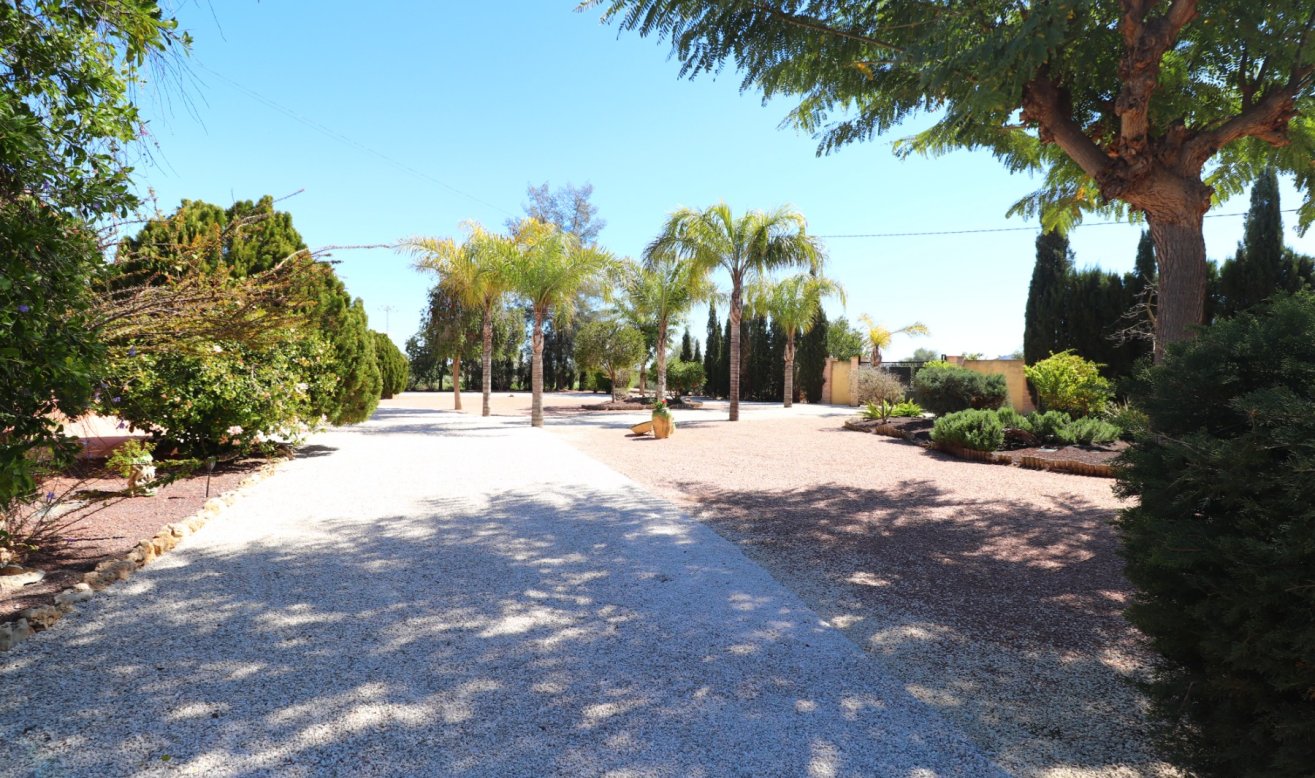 Reventa - Country Property - Callosa de Segura - Callosa de Segura - Country