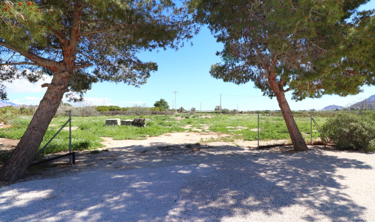 Reventa - Country Property - Callosa de Segura - Callosa de Segura - Country